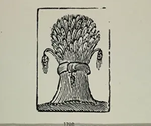 Grain Prints: A wheat sheaf