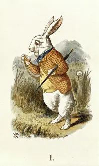 The White Rabbit Prints: The White Rabbit
