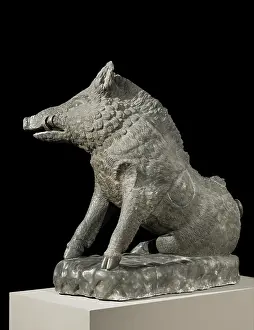 Boar Prints: Wild boar