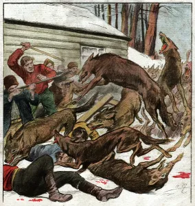 Feature Story Prints: Wolves attack, 1922 (print)